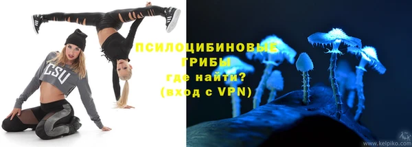 МДПВ Абдулино