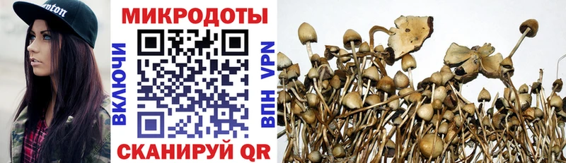 Псилоцибиновые грибы Psilocybine cubensis  что такое   Трубчевск 