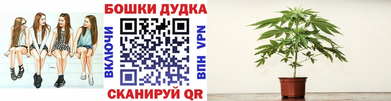 где купить наркоту  Трубчевск  МАРИХУАНА марихуана 